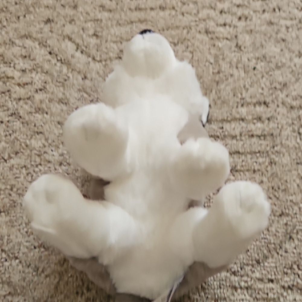 Hugs & Cuddles Husky Dog Plush Stuffed Animal Blue Eyes Gray White Soft Toy - Picture 6 of 11